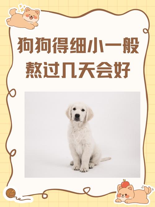 得过细小,就终身不会再得?不全对
