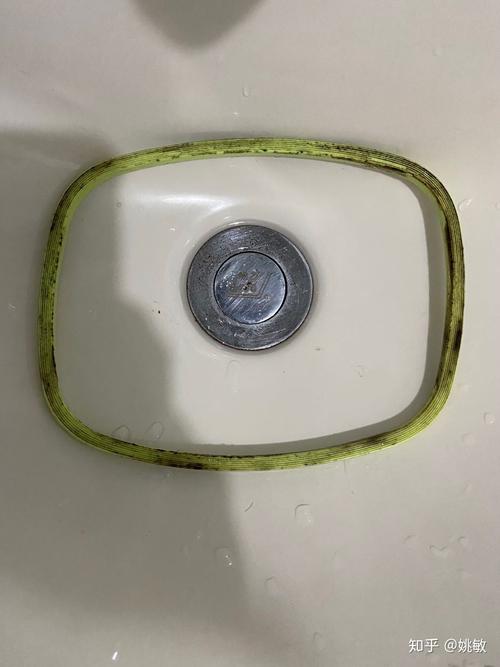 带饭族便当盒密封胶圈积垢实物图
