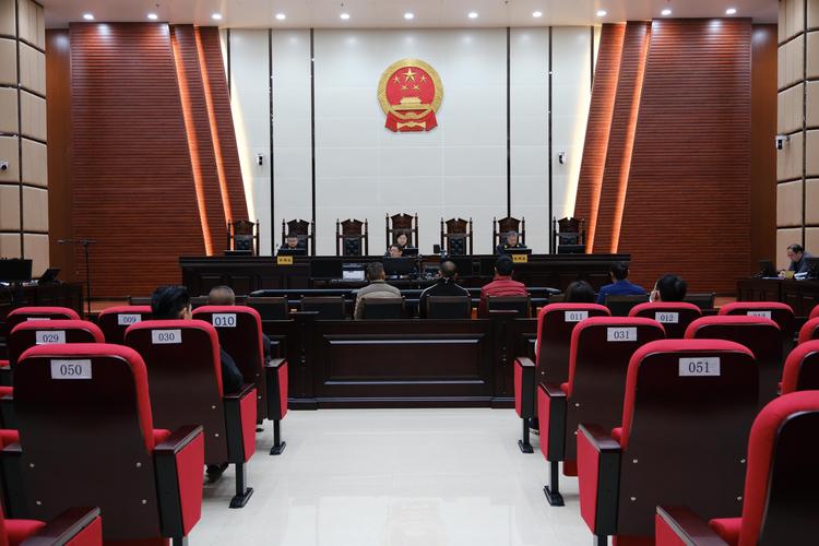 人民法院公开审理文物走私案件现场图