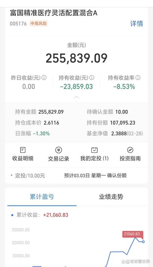 投资者面对下跌焦虑查看基金账户