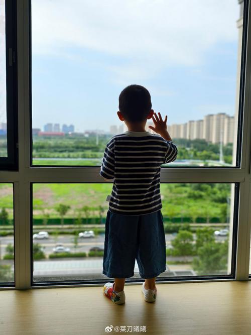 高层住宅窗边独自盯着楼下车流的5岁城市儿童