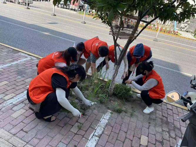 青少年在社区花园进行生态堆肥志愿服务