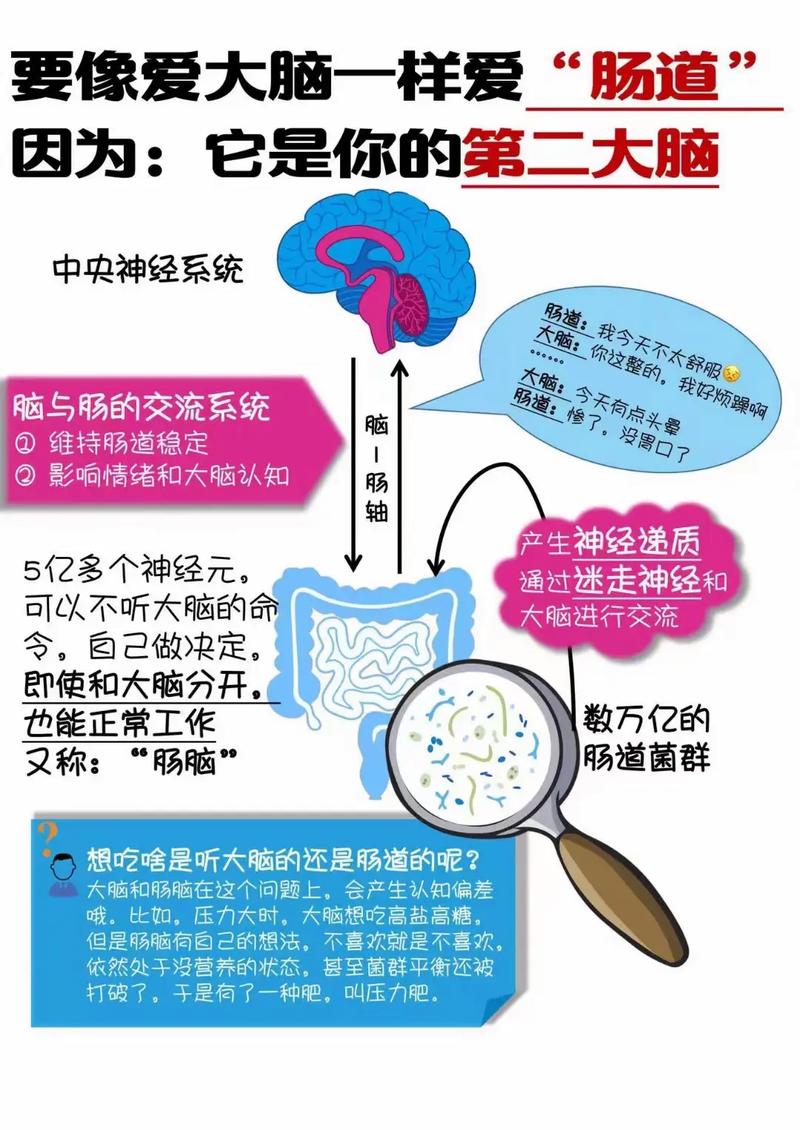 第二大脑渐进式总结笔记分层加粗