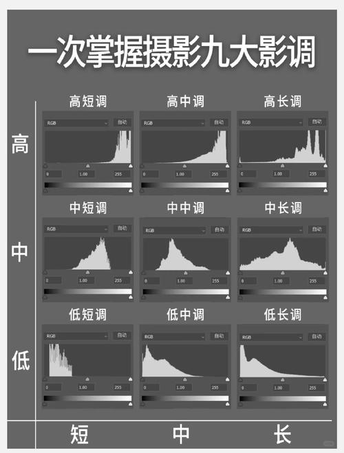 Lightroom曲线工具调整影调对比度示意