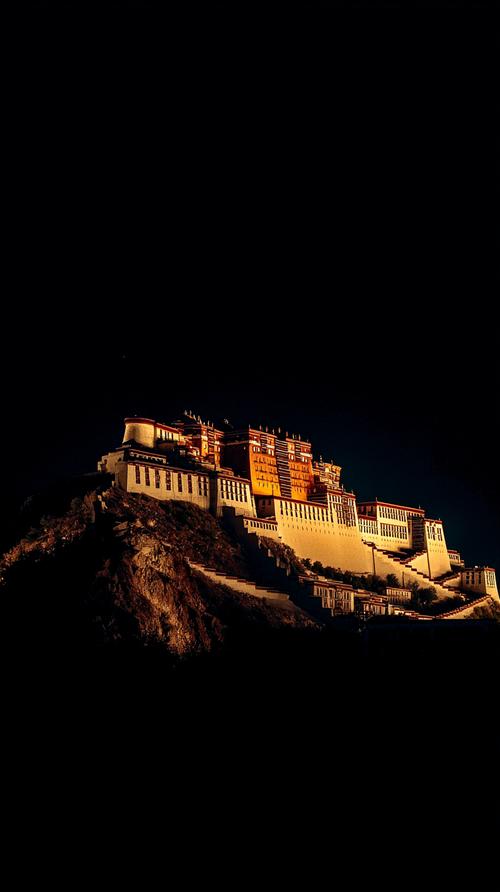 布达拉宫夜景