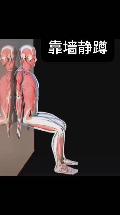 肌肉力量偏低入门靠墙静蹲标准示意图
