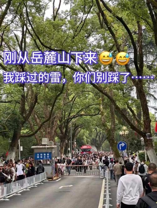 我踩过的雷，你可别踩了