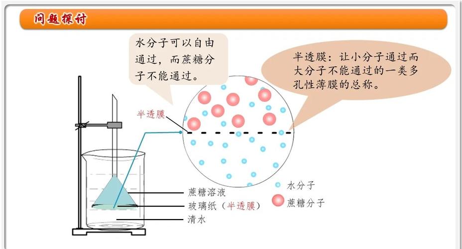 面膜有效成分与增稠剂渗透原理示意图