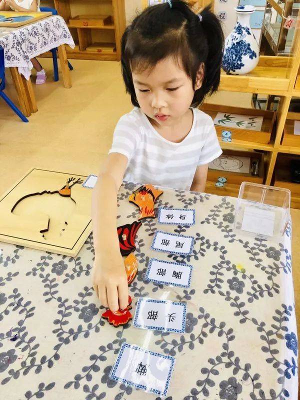 孩子文化敏感期观察世界地图