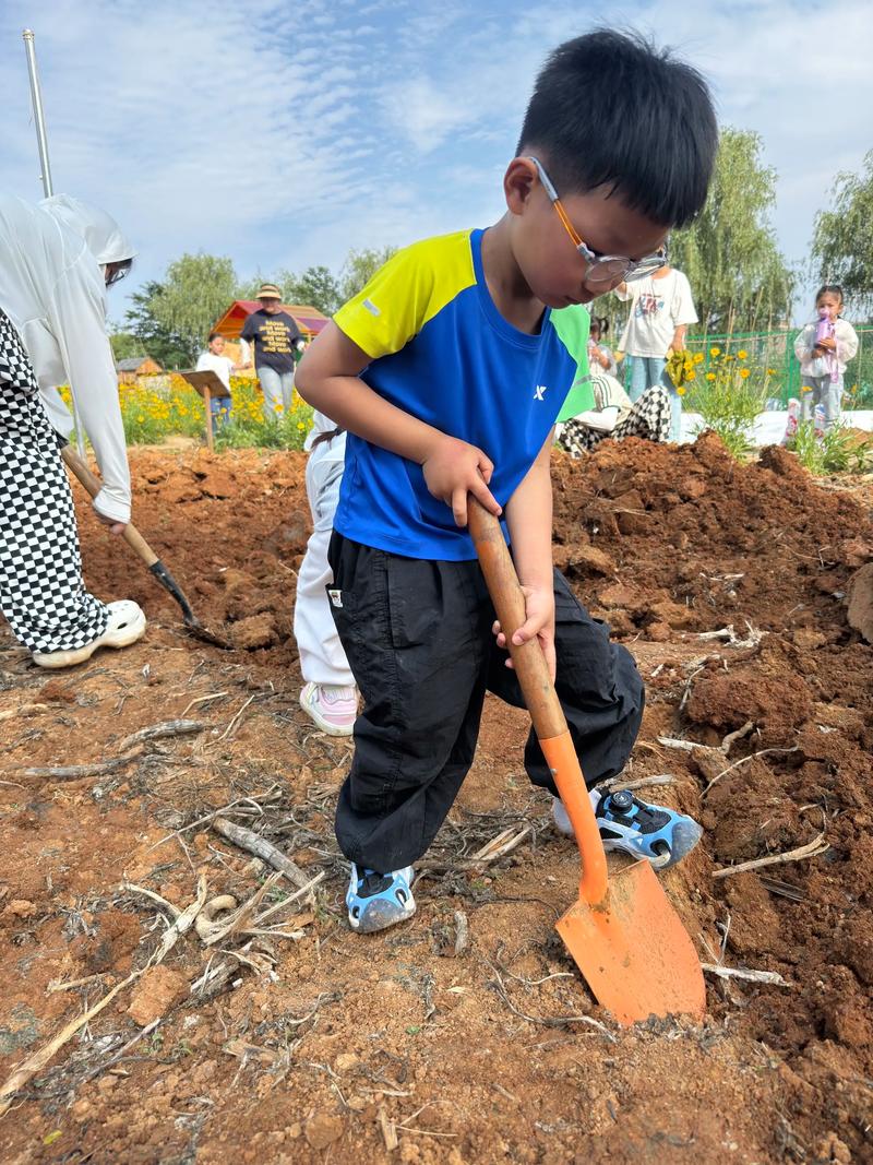 农场体验活动泥土特写铁锹挖土