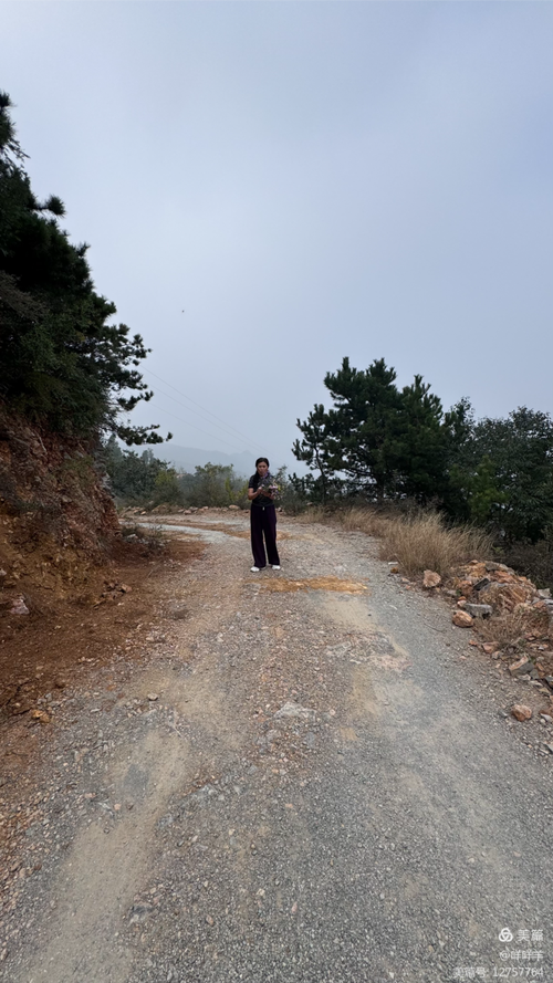 南漳荆山盘山公路旁捡野栗子的路人
