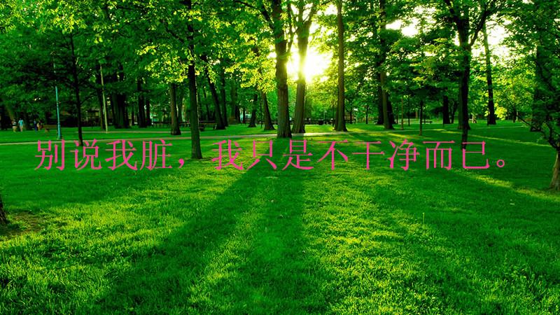 那些年防潮袋教我的生活哲学