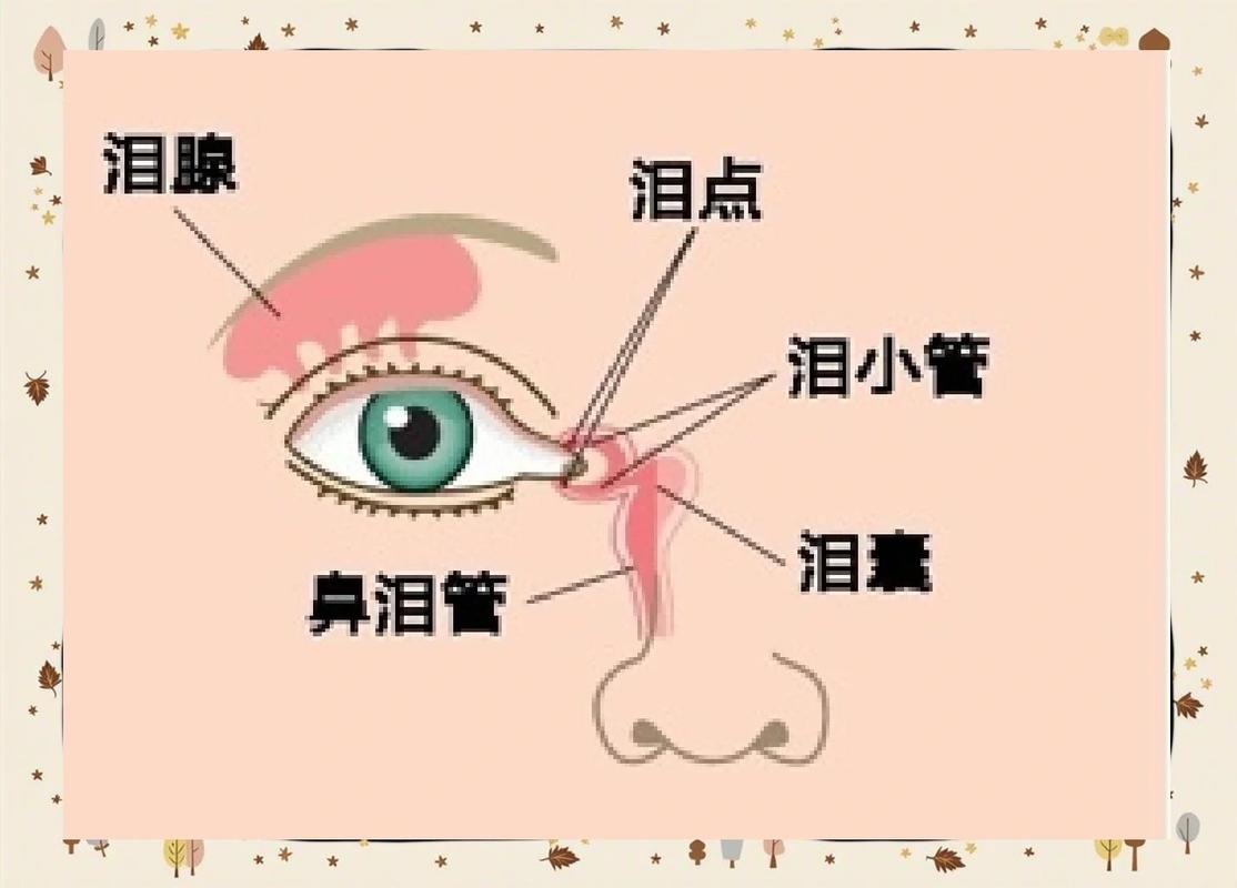 干眼症患者的屏幕使用间歇休息:不起眼的小事,最养眼睛-仁者医