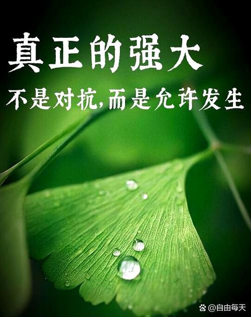 真正有用的，从来不是大张旗鼓