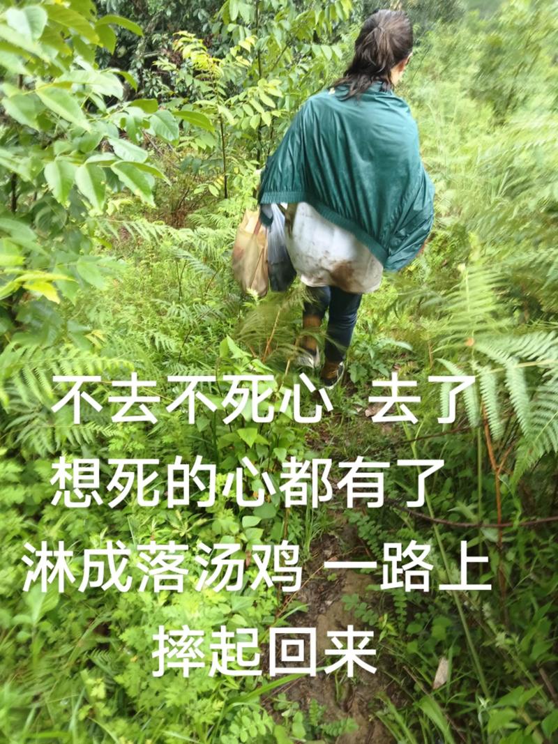安装与补救篇:装完才发现,想死的心都有