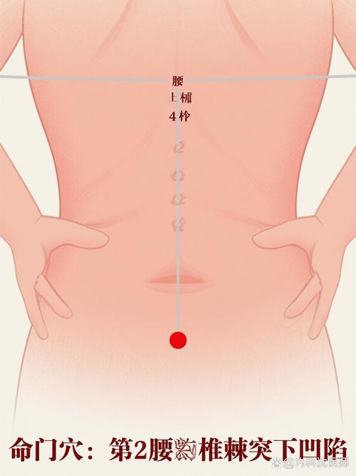 不是“放进去”就完了——支持体系才是命门