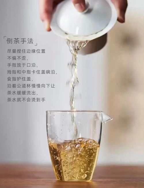 白瓷盖碗冲泡乌龙茶 防烫技巧 茶艺文化