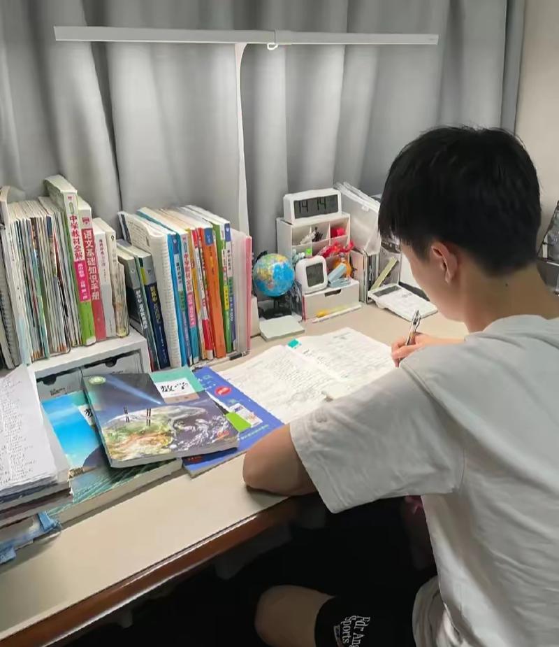 高中生在书桌前认真反思学习笔记的场景