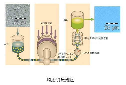 食品加工技术（非医疗）的真相：你被包装骗了多少年？