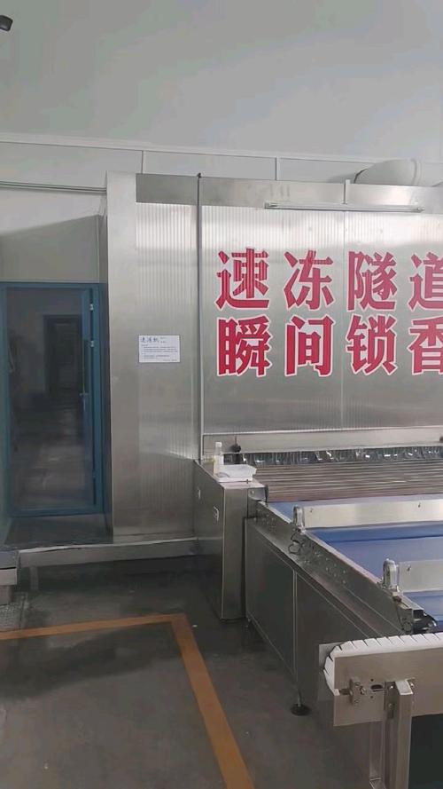 速冻蔬菜加工车间急冻隧道作业场景