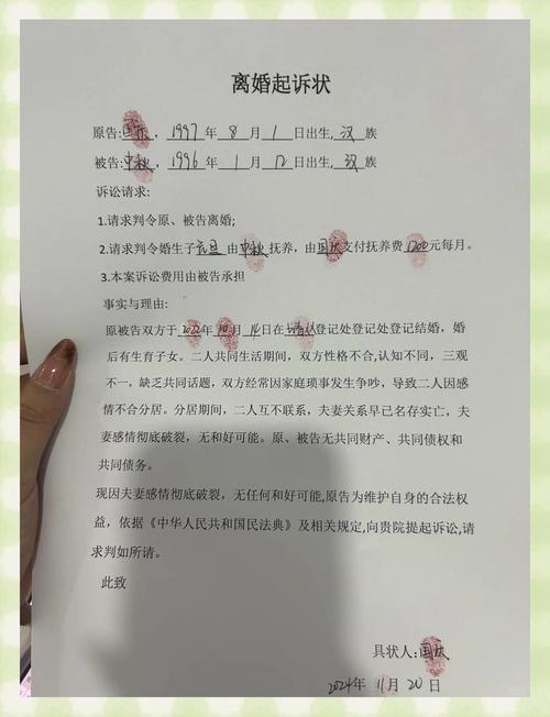 婚姻纠纷起诉状律所整理底稿实拍