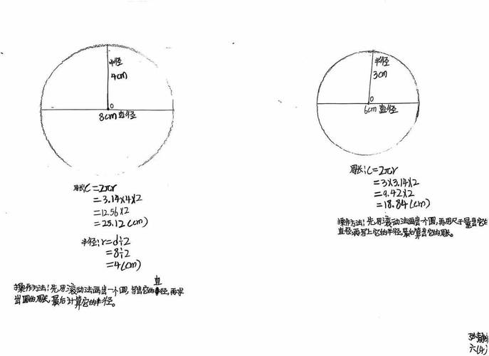 小学生手工测量圆周长作业实拍