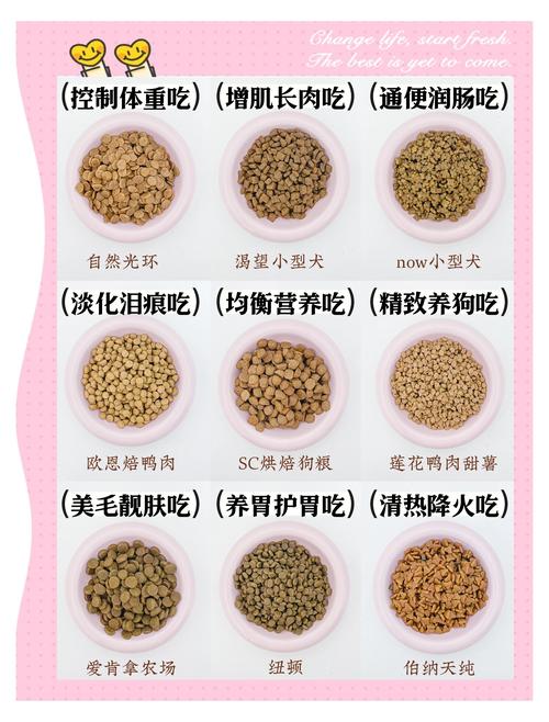 普通养宠人挑狗粮，记住这几个硬标准
