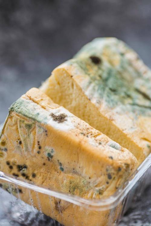夏日户外变质即食食物实拍图