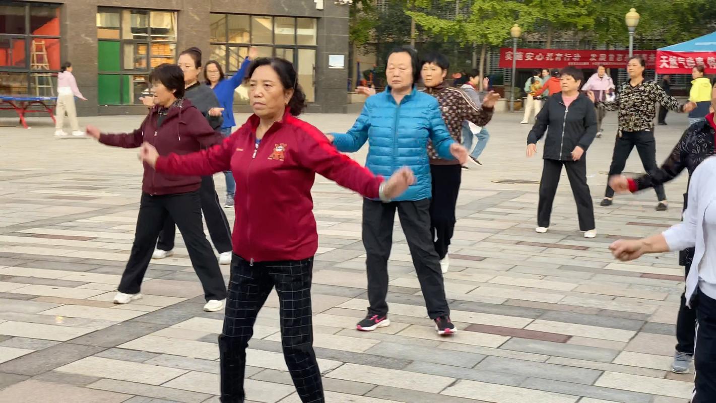 公园中老年舞蹈休闲健身场景
