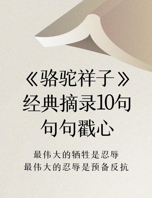 不是每只骆驼都配得上铜铃