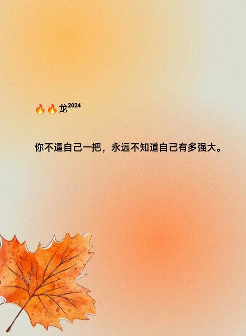 永远不要逼自己每日更新