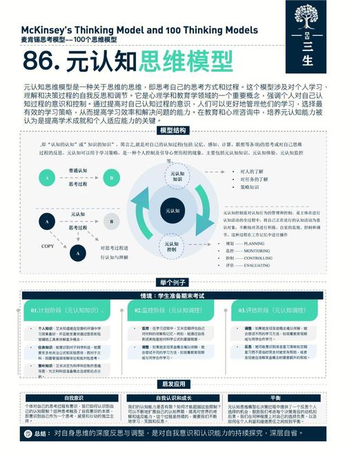 元认知与学习效率关系图