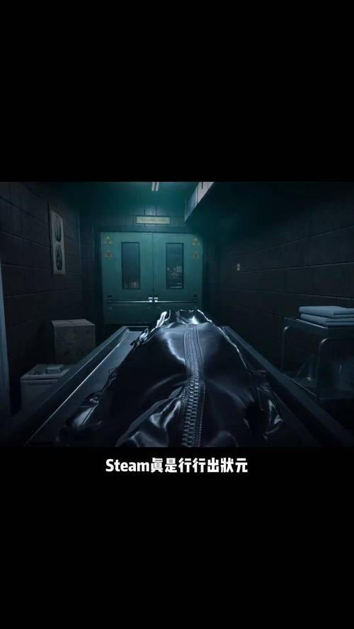 深入系统,软件验尸