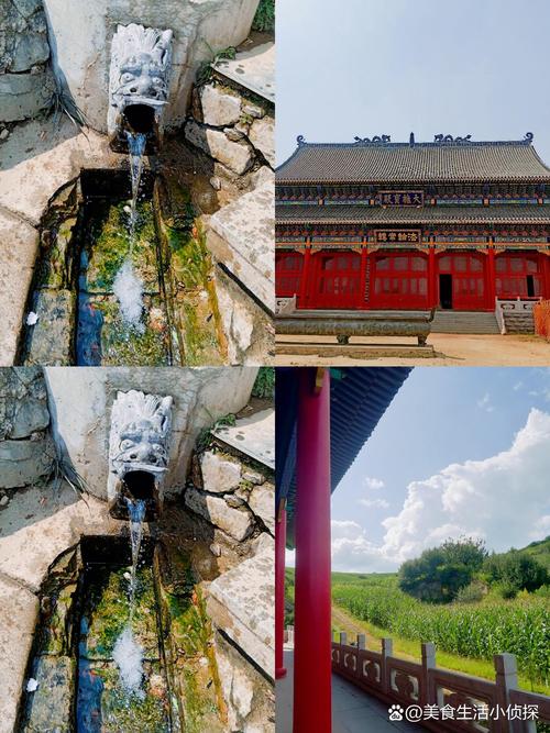 四、泉水还能回来吗?
