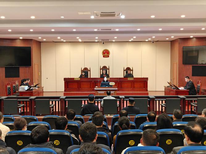 法院刑事审判庭审现场实拍图