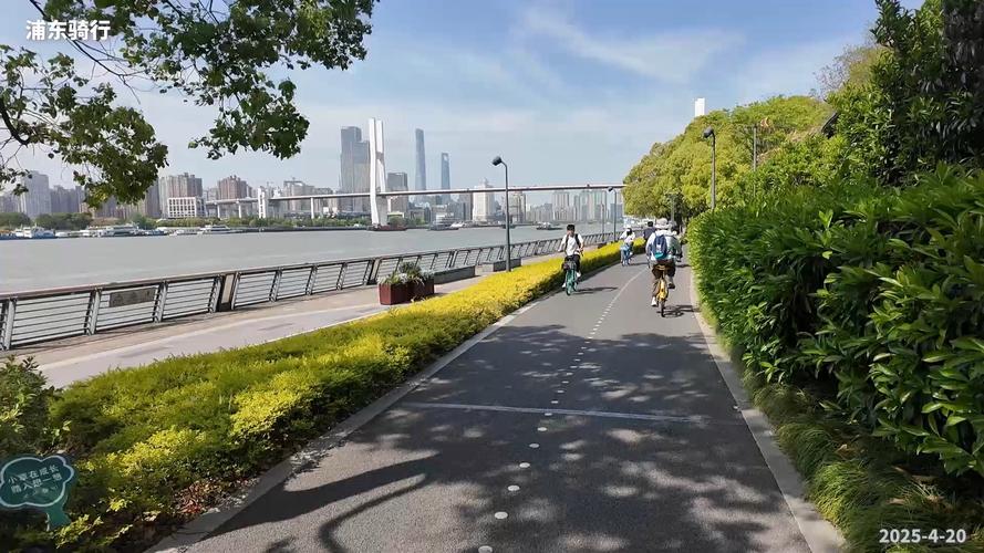 城市滨江绿道骑行步行混合道场景