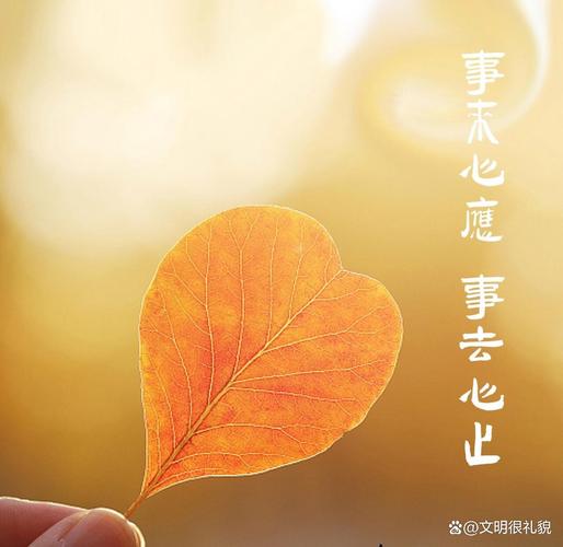 剪枯叶的本质，是和“放下”相处
