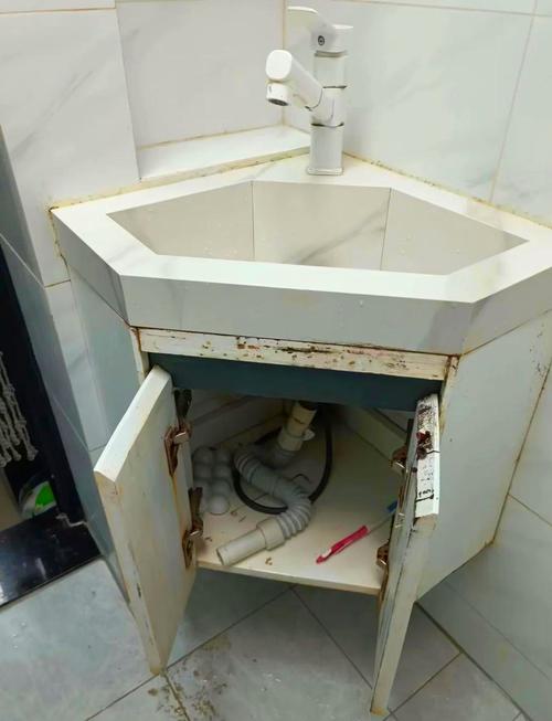卫生间密闭柜底长霉实拍