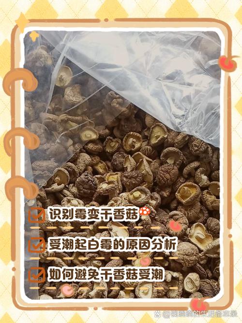吸潮后发霉长白毛的干香菇实物图