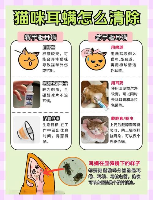 照着做，一次就能把耳螨断干净