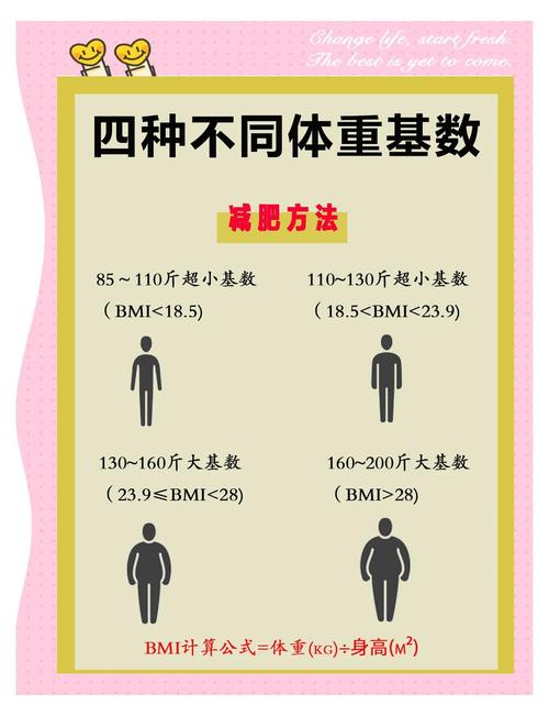 中国肥胖人群安全减重速度对照表