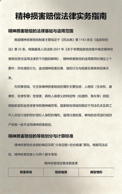 法院精神损害赔偿认定标准实务手册内页