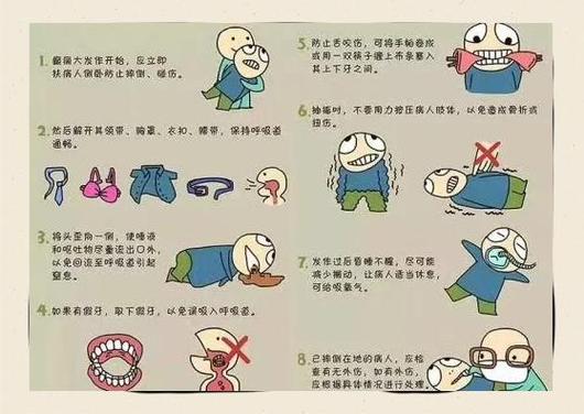宠物癫痫发作家庭正确护理步骤图