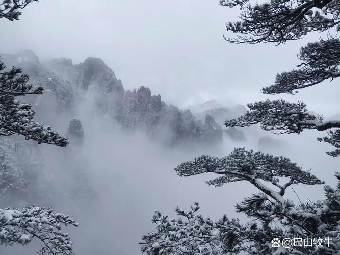 出林时沾了一肩雪