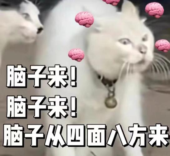 学鼓那点事儿:智商税还是真长脑子?