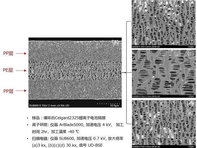高分子材料应用 锂离子电池隔膜芳纶涂覆截面SEM图