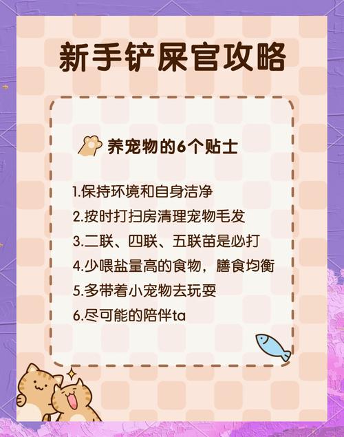 不踩坑的实用贴士，记好咯