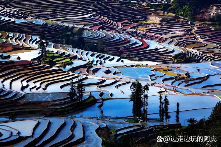 三、红河元阳:不只是梯田,更是哈尼族的4000年治水史诗