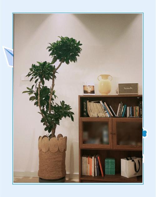 手工染色麻绳卷搭配绿植场景