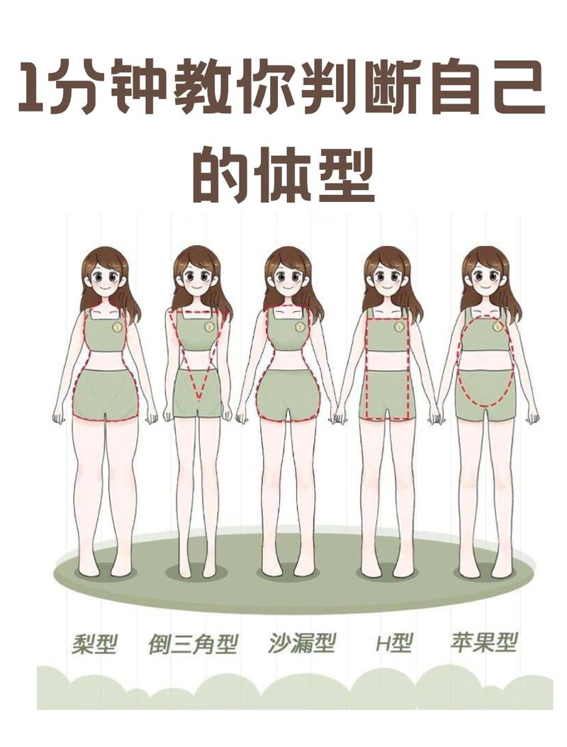 微胖女生身材类型自测示意图